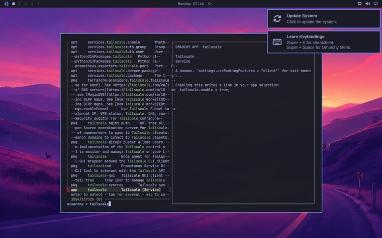 nixarchy Install search over 137,326 packages and options, previewing the Tailscale service